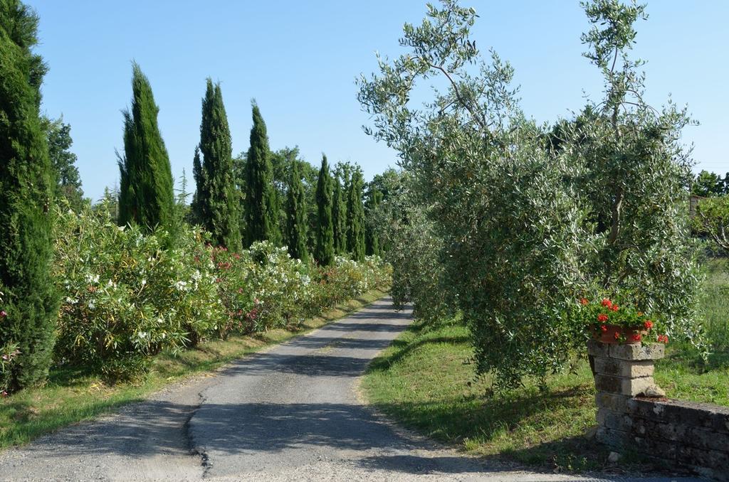 Agriturismo Rosa Dei Venti 波马兰切 外观 照片