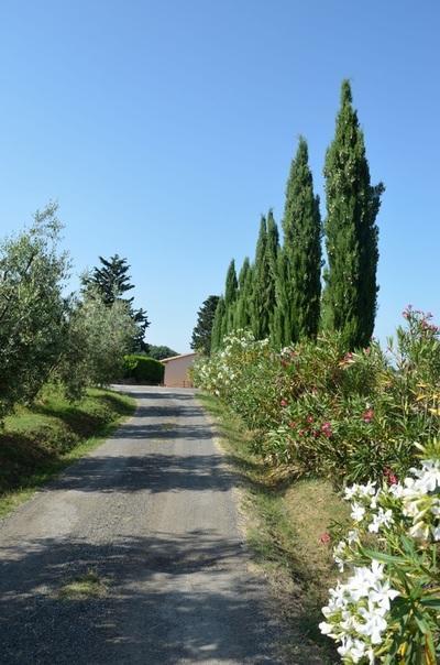 Agriturismo Rosa Dei Venti 波马兰切 外观 照片